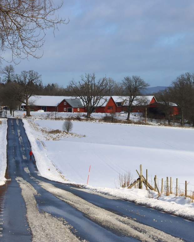 A cleared country road running past red barns after snow.