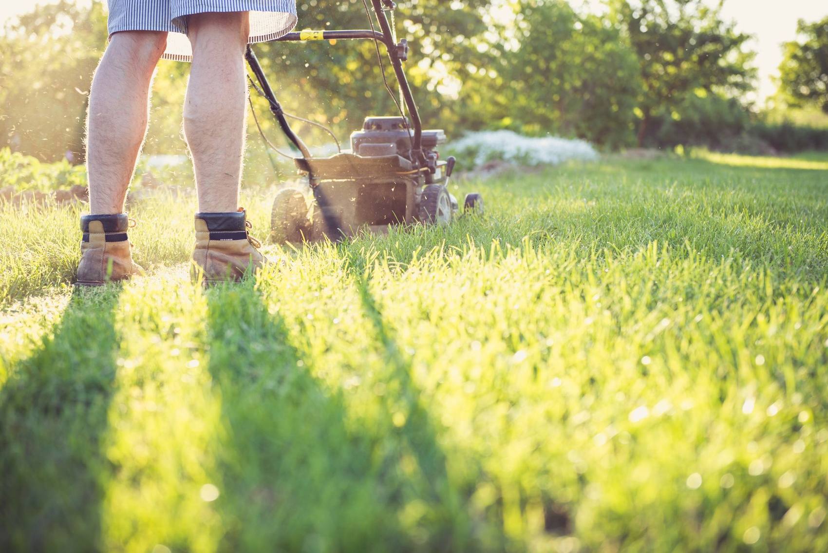 Mowing a lawn in late-afternoon summer light.